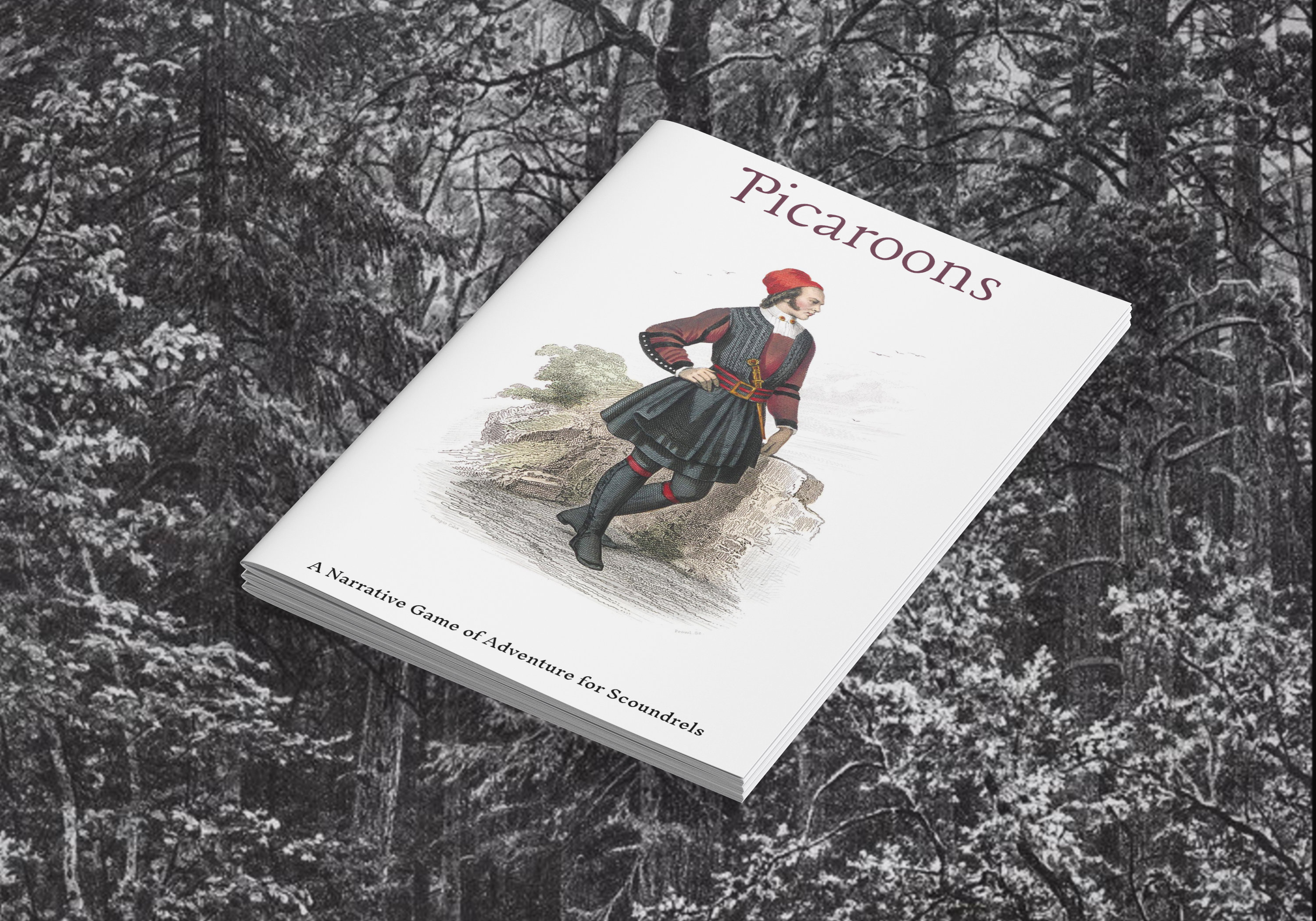 Picaroons: Collected Edition Mockup