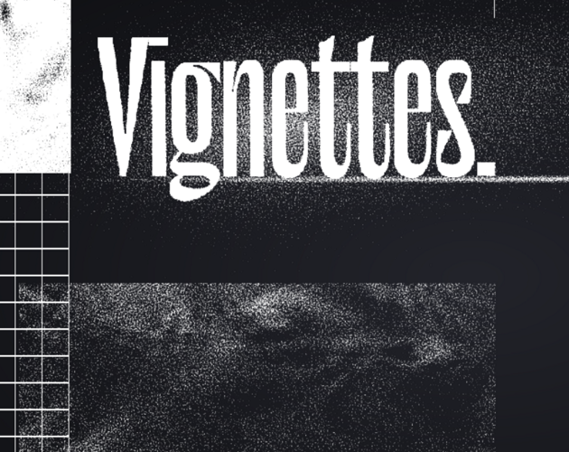 Cover image for Vignettes