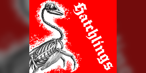Cover image for Hatchlings