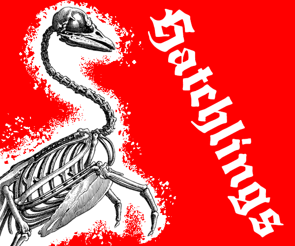 Cover image for Hatchlings