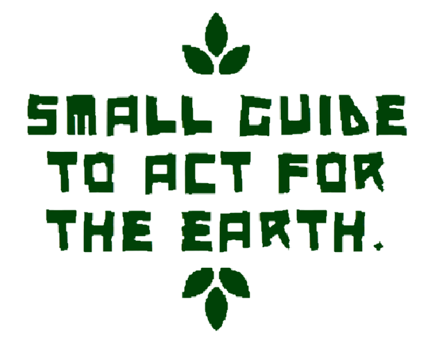 Cover image for Small guide to act for the earth