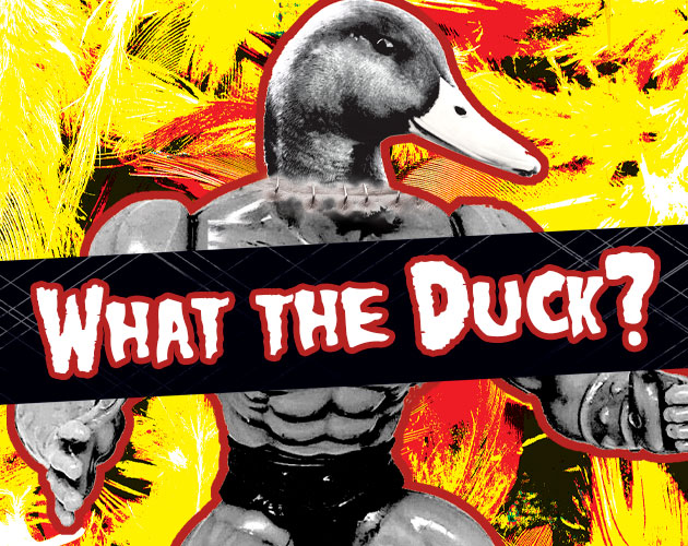 Cover image for What the Duck