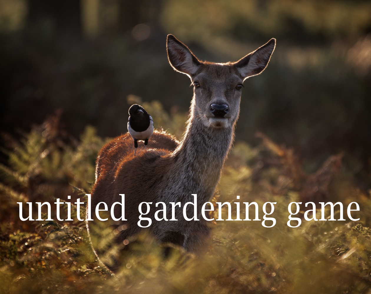 Untitled Gardening Game by Aislinn Evans