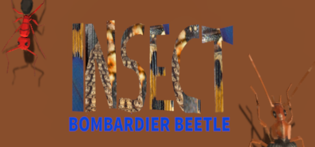 Bombardier Beetle