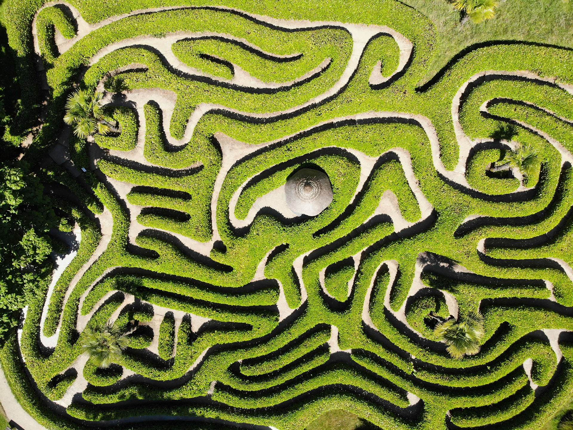 Labyrinth