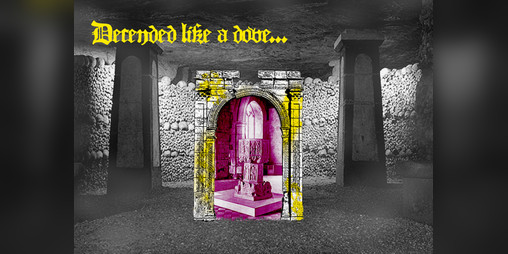 Cover image for Decended like a dove...