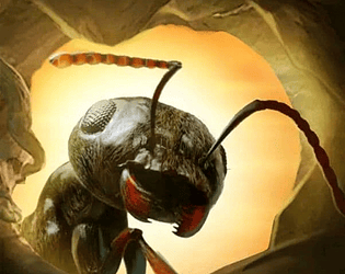 Ants Legion
