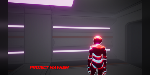 Cover image for Project Mayhem