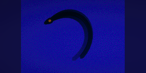 Cover image for Shadows In The Deep