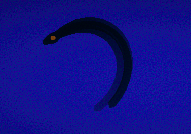 Cover image for Shadows In The Deep