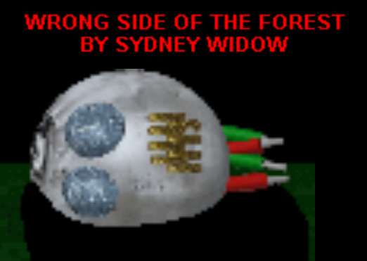 Wrong Side of the Forest cover