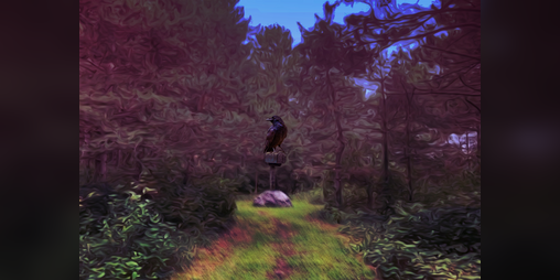 Cover image for Kill Crow