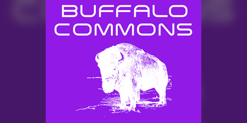 Cover image for Buffalo Commons