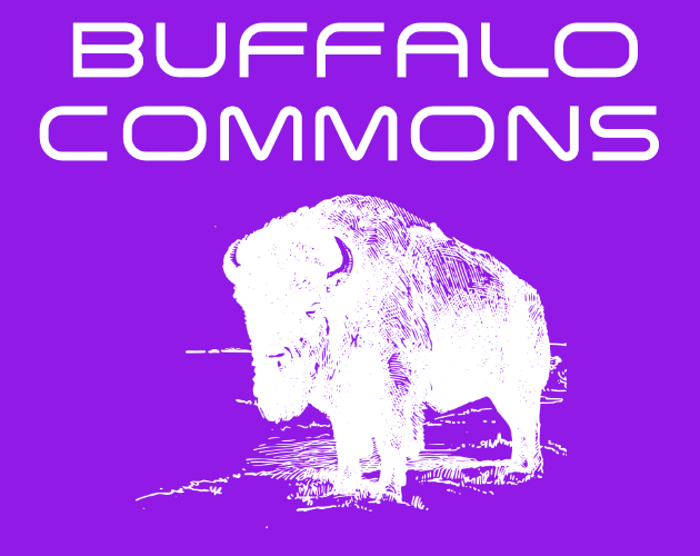 Cover image for Buffalo Commons