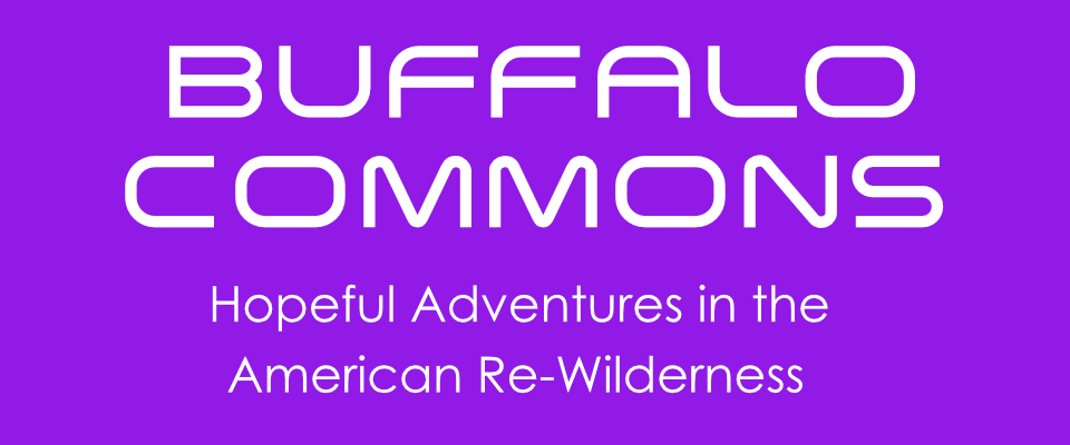 Buffalo Commons