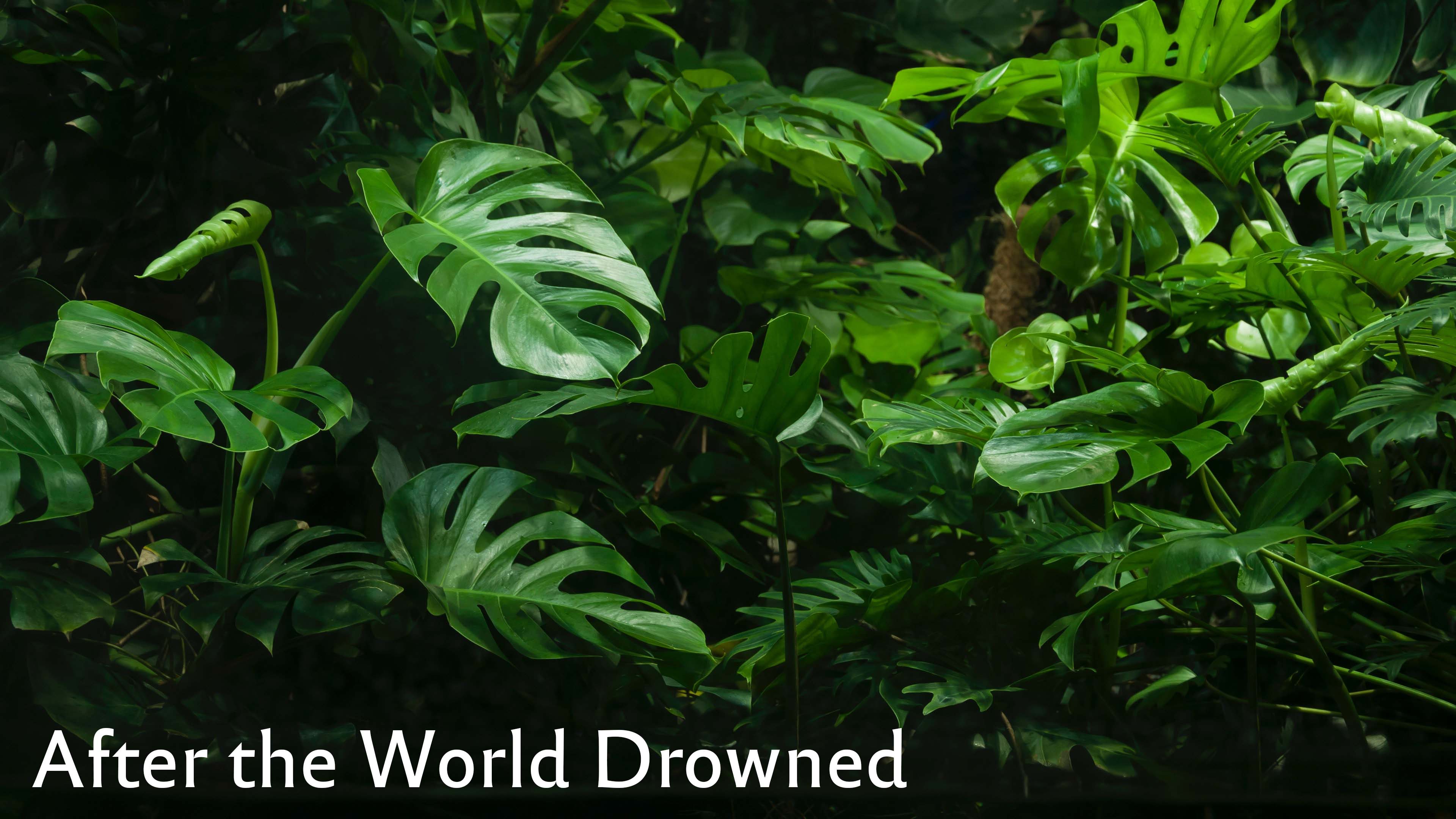 After the World Drowned