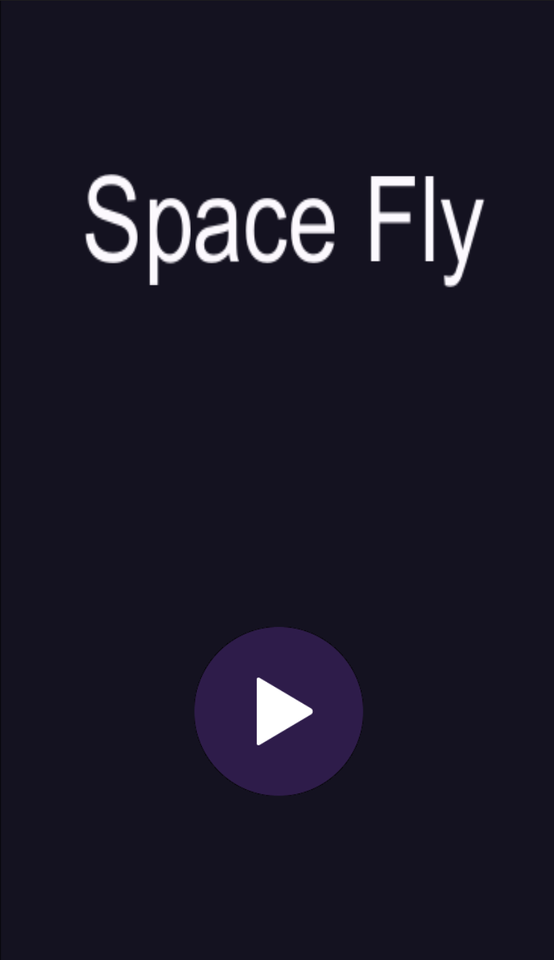 Space Fly