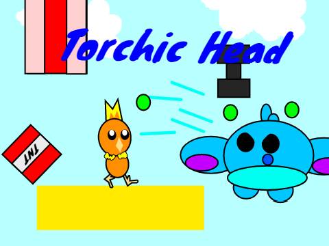 Torchic Head