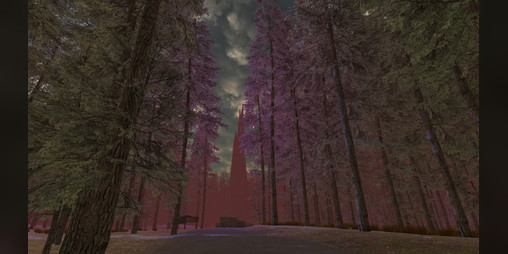 Cover image for Liminal museum