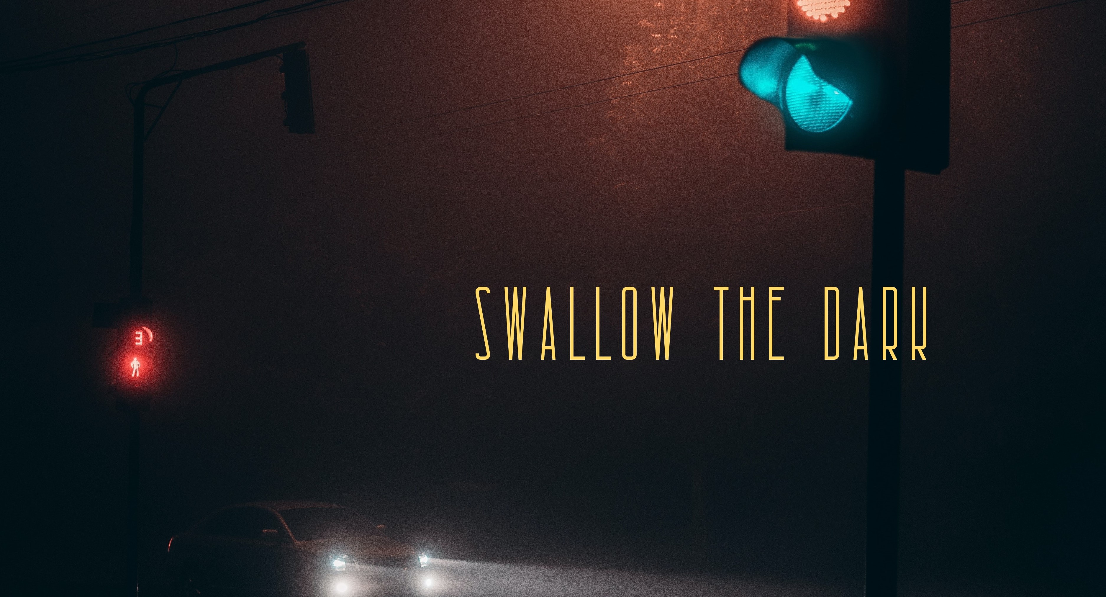 Swallow the Dark