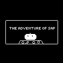 Cover image for The Adventure Of Sap