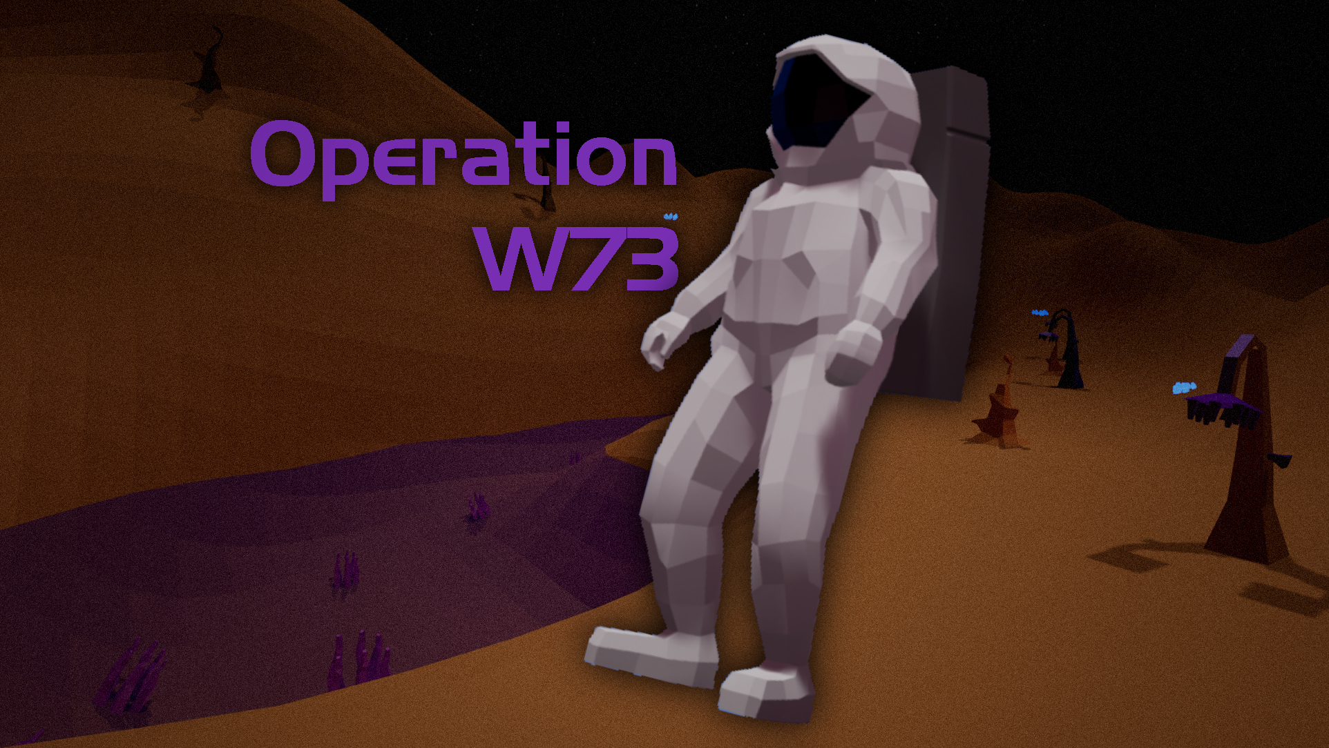 Operation : W73