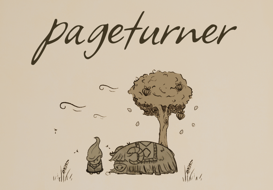 Cover image for Pageturner