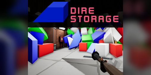 Cover image for Dire Storage