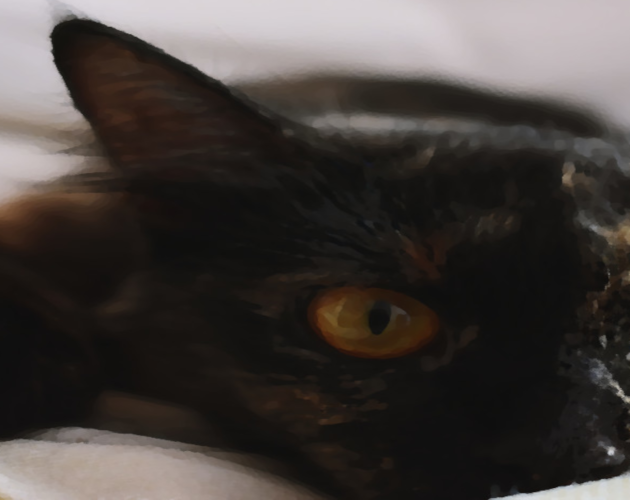 Cover image for Me and My Pet Cat