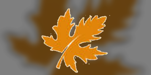 Cover image for RakeEm