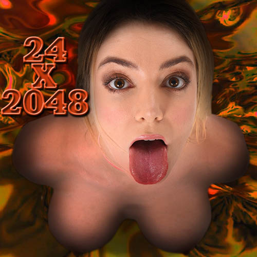 Cover image for 24x2048