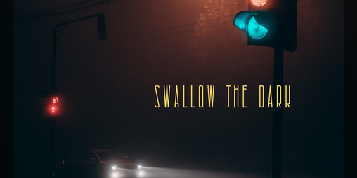 Cover image for Swallow the Dark
