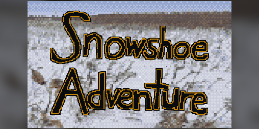 Cover image for Snowshoe Adventure