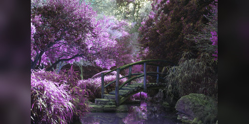 Cover image for A Fairy’s Day Adventure into the Human World