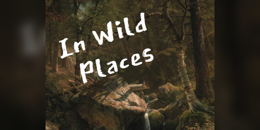 Cover image for In Wild Places
