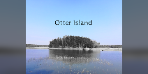 Cover image for Otter Island