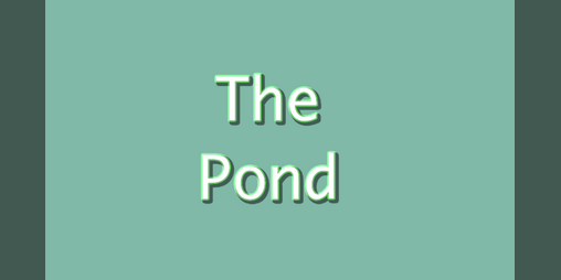 Cover image for The Pond