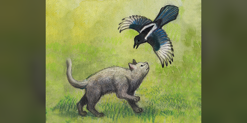 Cover image for Milo and the Magpies
