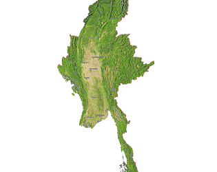 Nyiarfacetrack