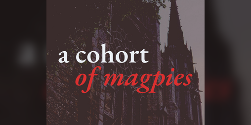 Cover image for a cohort of magpies