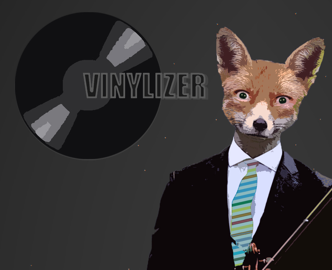 VINYLIZER - This is your Jam!