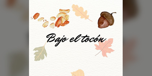Cover image for Bajo el tocón