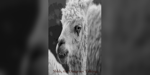 Cover image for Shh, the drugs are talking.
