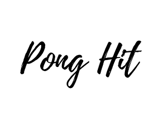 Pong Hit Simulator