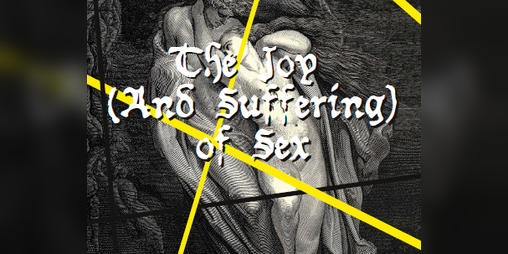 Cover image for The Joy (and Suffering) of Sex