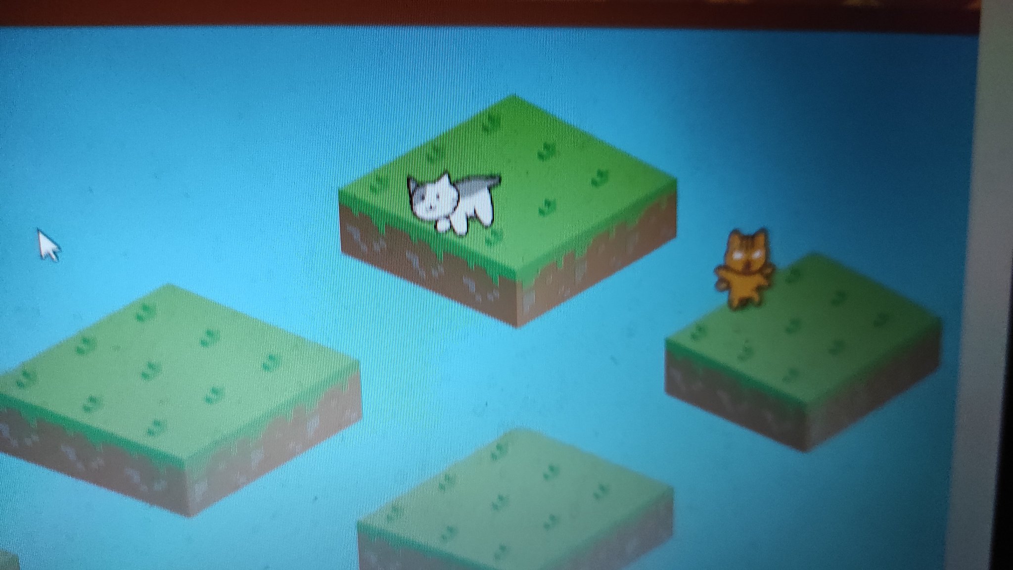 white cat's on edge but not slipping