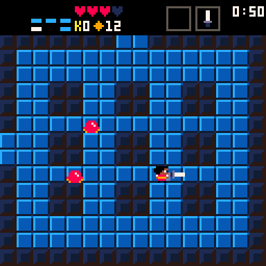 Cover image for Amika's Quest