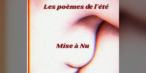 Cover image for Mise à nu
