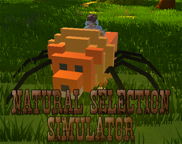 Natural Selection Simulator