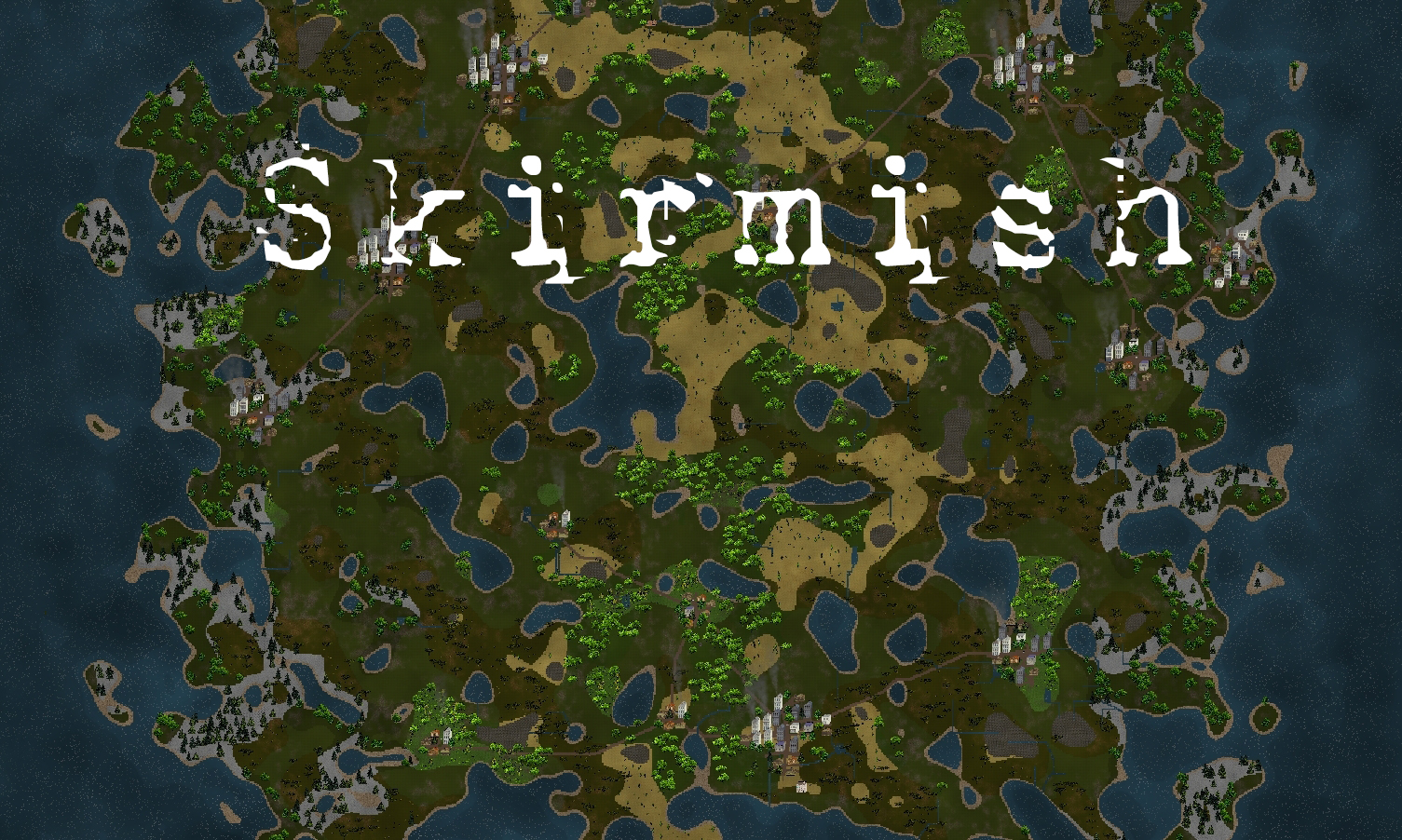 Cover image for Skirmish